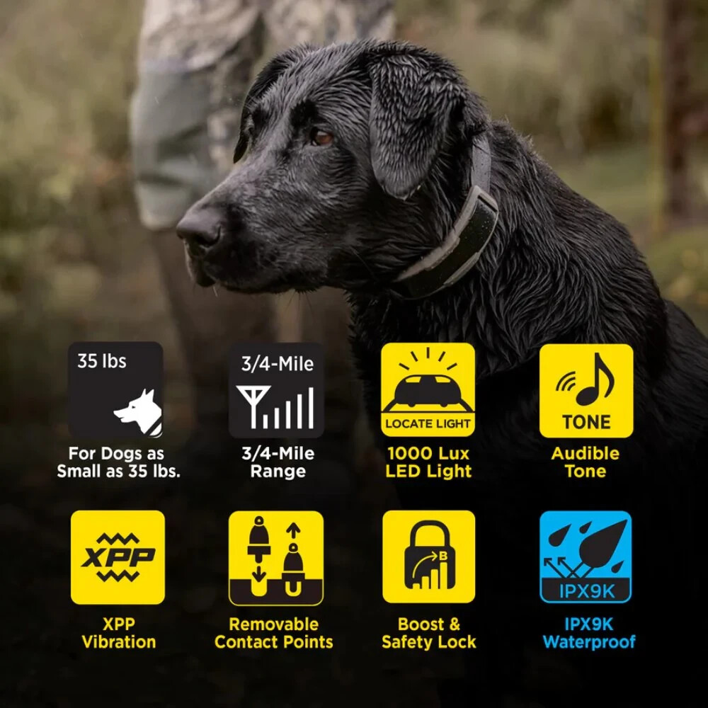 Dogtra 1900X Remote Training E-Collar – Next-Gen E-Collar with Unrivaled Perform