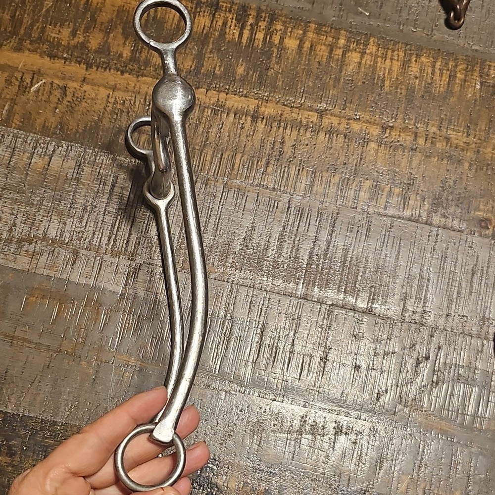 Eldonian Walking Horse Bit