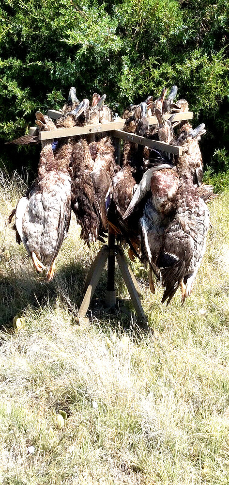 Duck Drying Rack
