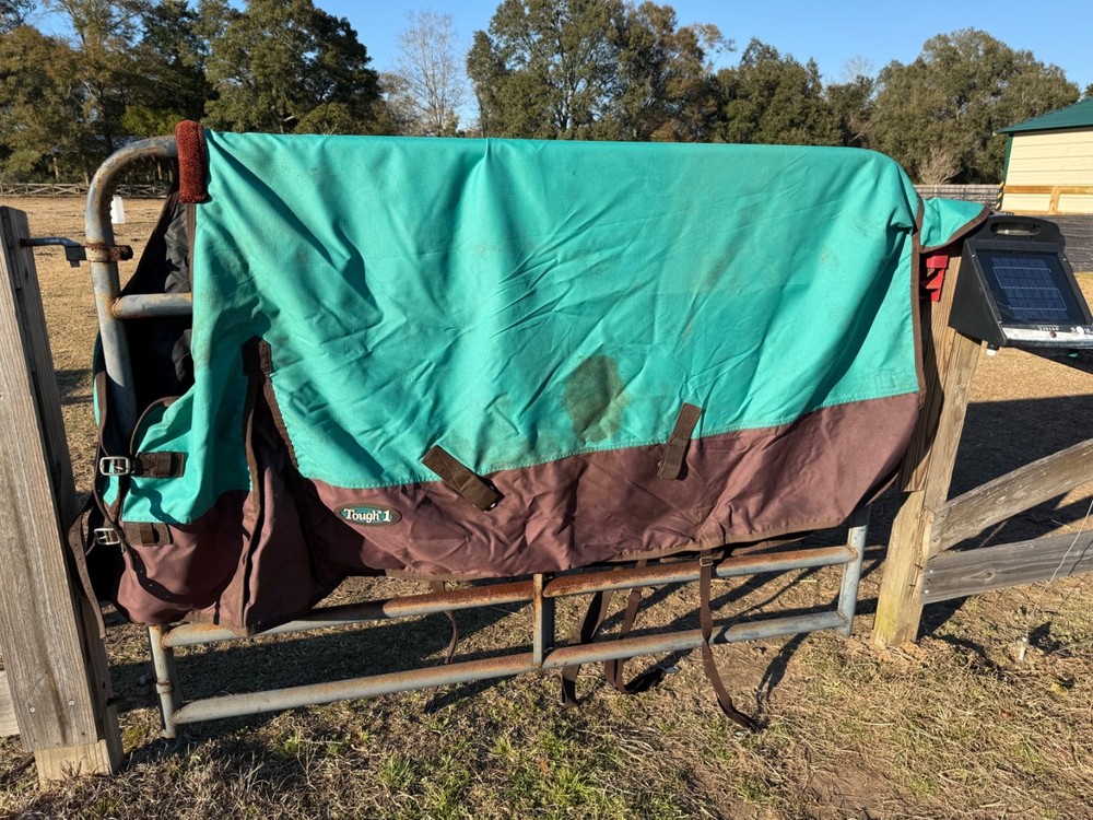 horse blanket