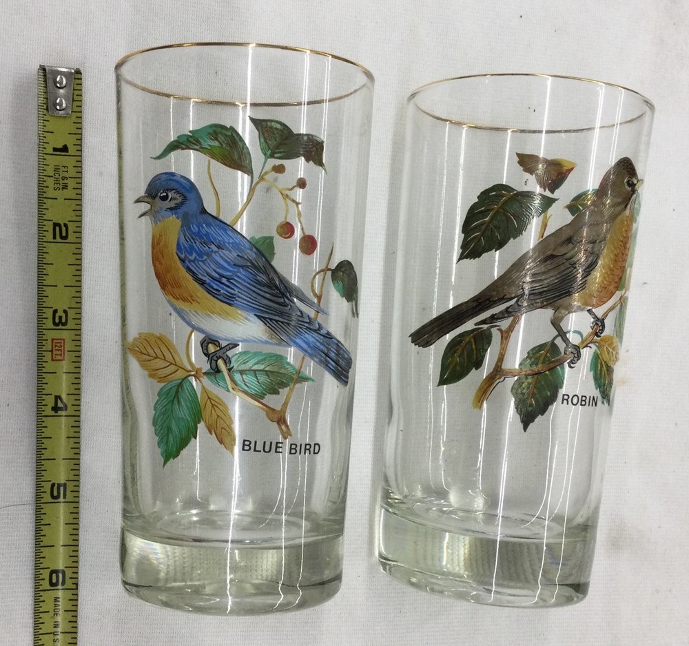 Bird Scene Glass Pitcher, 2 Glasses, Preowned