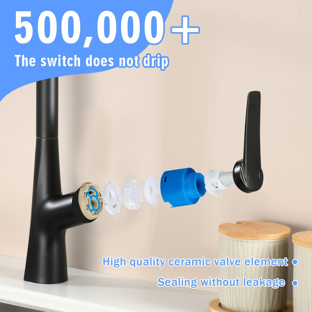 Professional 3 Function Kitchen Faucet Matte Black 360° Sprayer