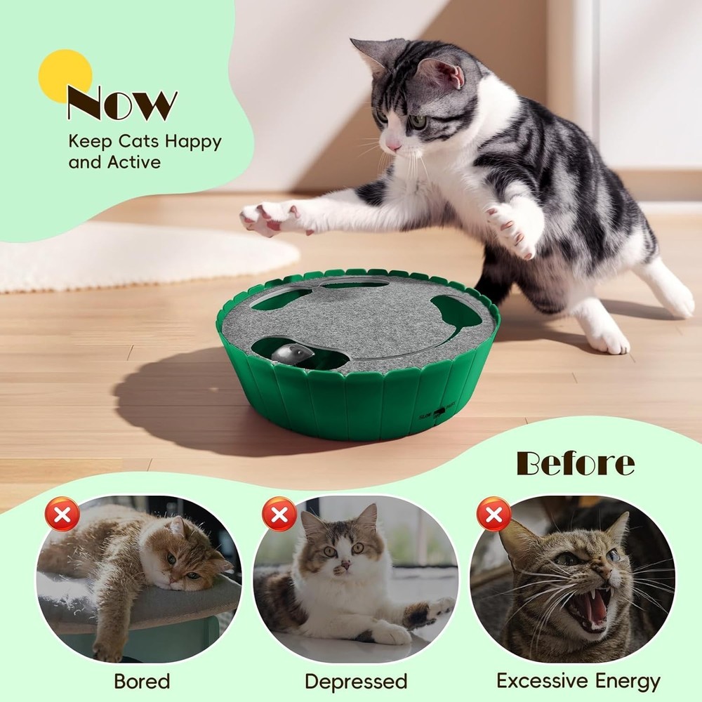 Interactive Cat Toy with Running Mouse, Electronic Motion Cat Toy Automatic Teas