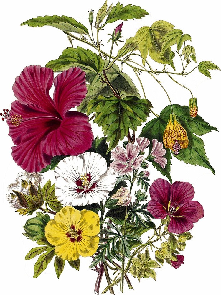 Flowers by E. Twining bouquet leave Tile Mural Kitchen Backsplash Marble Ceramic