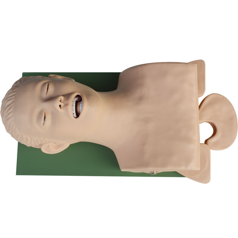 Electronic Silicone Airway Management Trainer,110VStudy Manikin TeachingModel