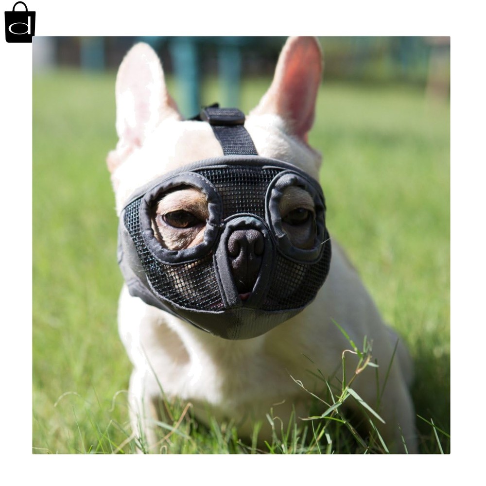 Short-Muzzled Dog Muzzle, Soft English Bulldog Muzzle