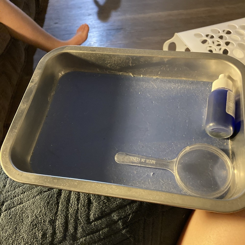 Biology Dissection tools - mat with all dissection tools