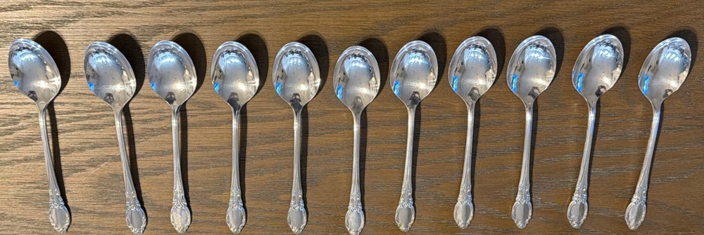 Rogers Oneida Park Lane Chatelaine 69 Piece Silverplate Flatware Service For 11+
