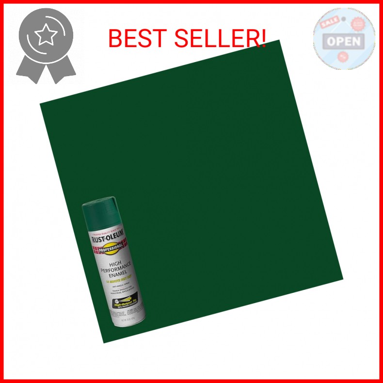 Professional High Performance Gloss Enamel Spray Paint - 15 oz