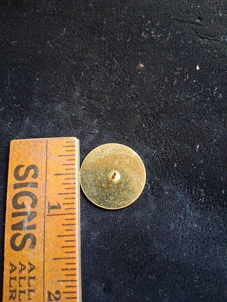Nursing Pin NY State
