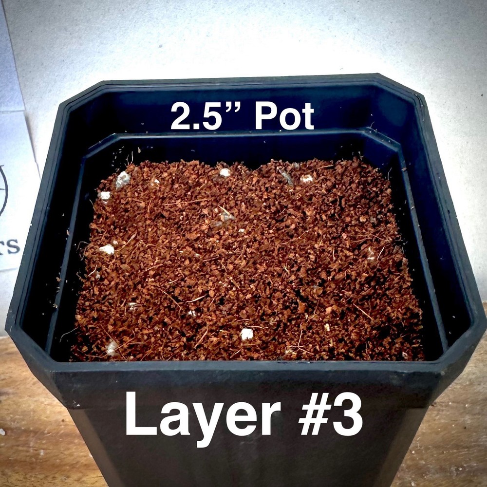 4 Layer System Cactus Seed Sowing Germination Mix Soil Kit Mycorrhizae 1 QUART