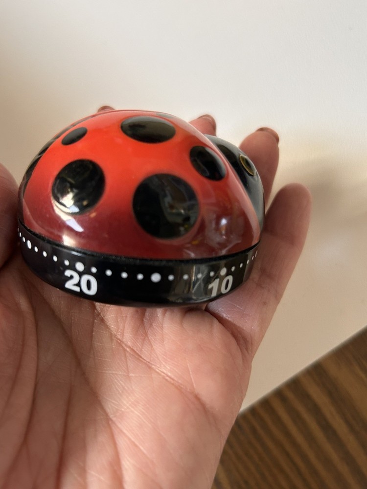 Ladybug Kitchen Timer Mechanical Wind up Kitchen Cooking