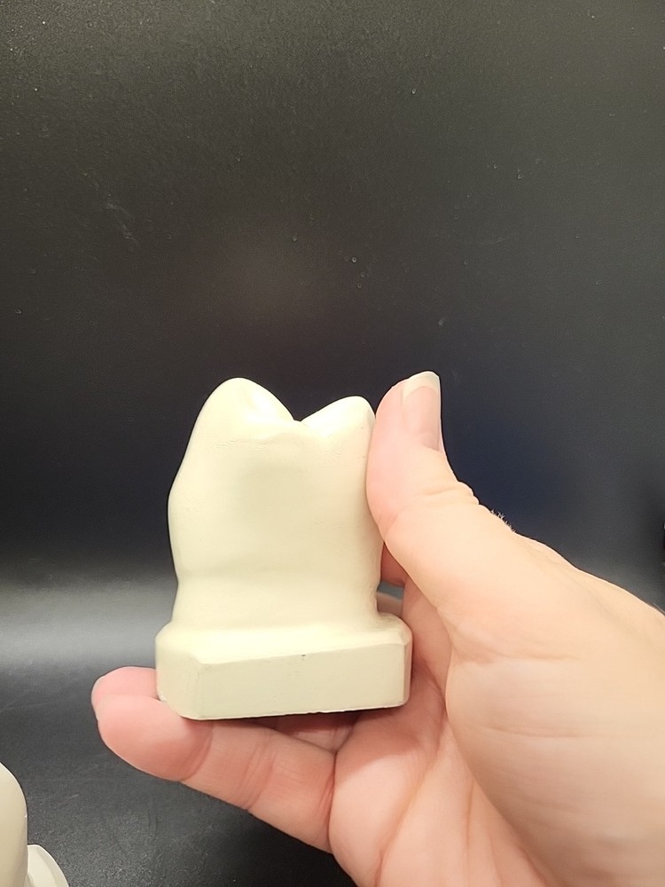 Two Weird Tooth Models 1970's