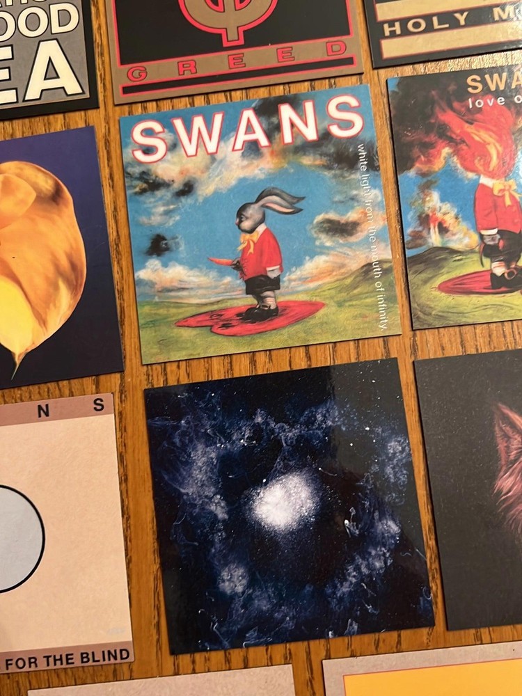 Swans fridge magnets