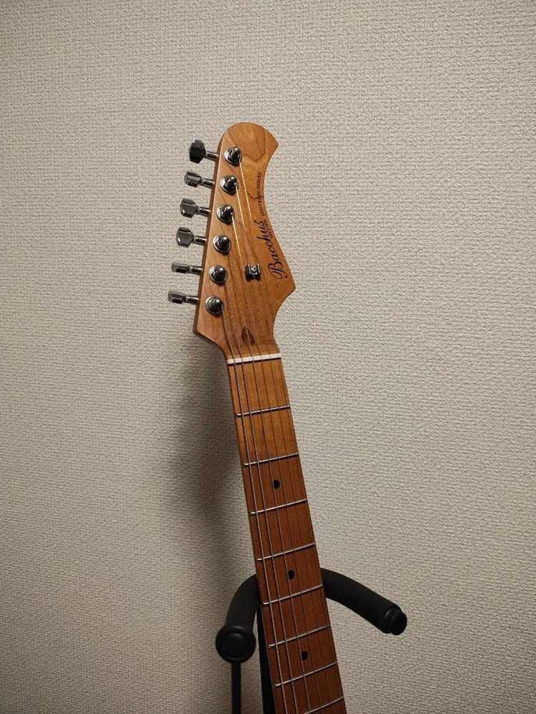 Bacchus GS-2DX RSM/M with modification