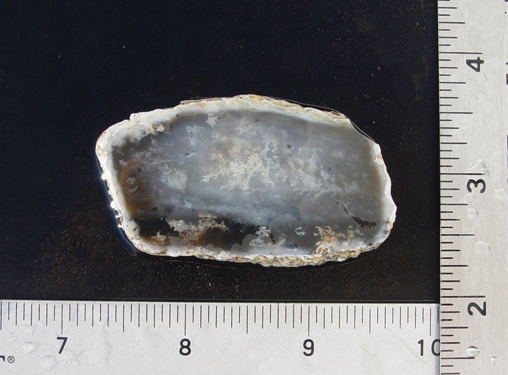 Dendritic Agate     Lapidary Slab                    T967