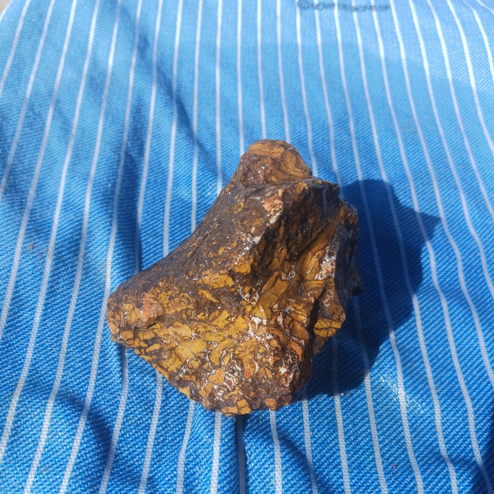 Jasper Rough Specimen Display Lapidary Potential