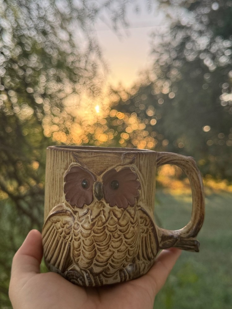 whimsical vintage owl mugs