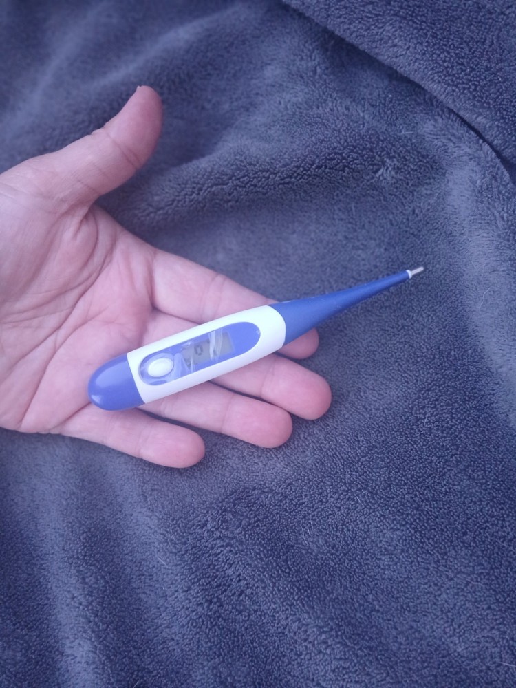 Digital Kroger Thermometer Low Battery Temperature