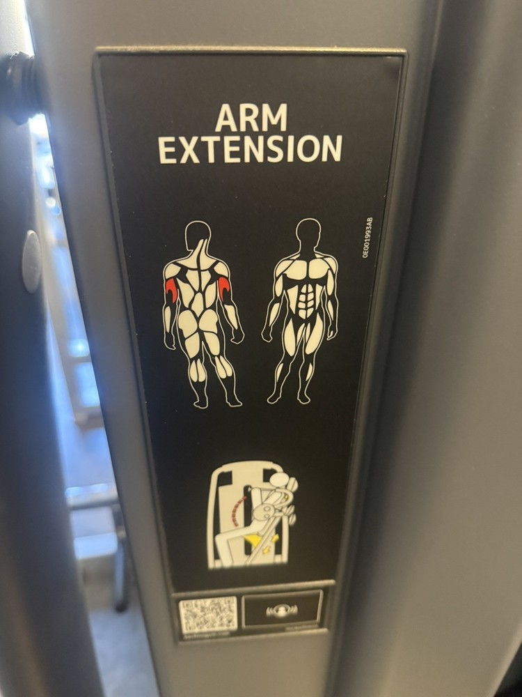 Technogym Arm Extension / Triceps Machine