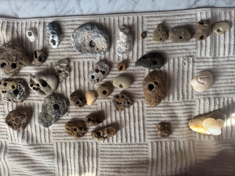 hag stones