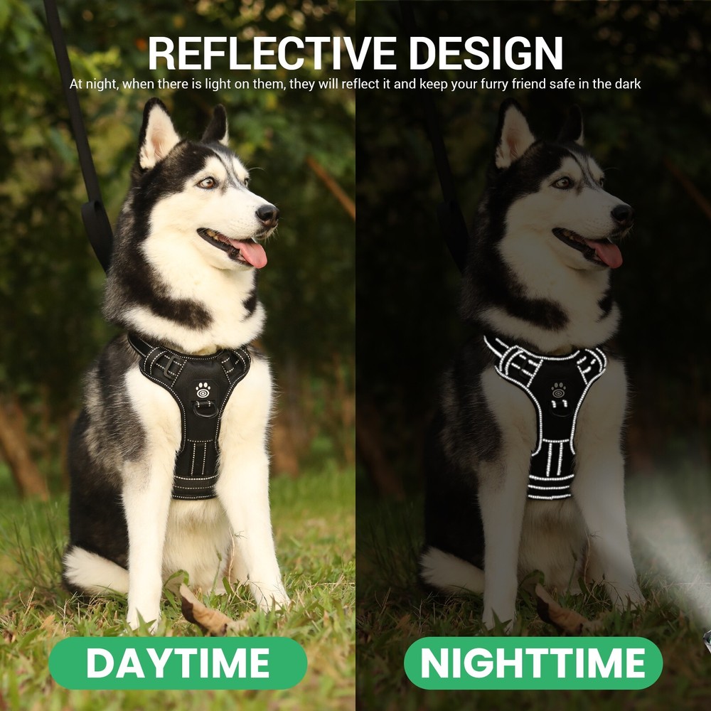 No Pull Light Up LED Dog Harness with Reflective Strips, Padded Breathable Mesh