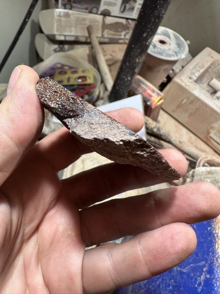 Dinosaur bone rough **hxtled end cut.