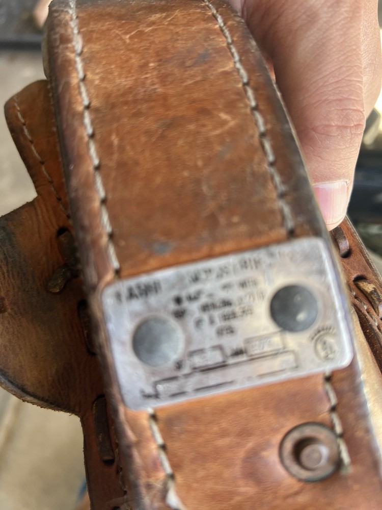 Buckingham Pole climbing belt