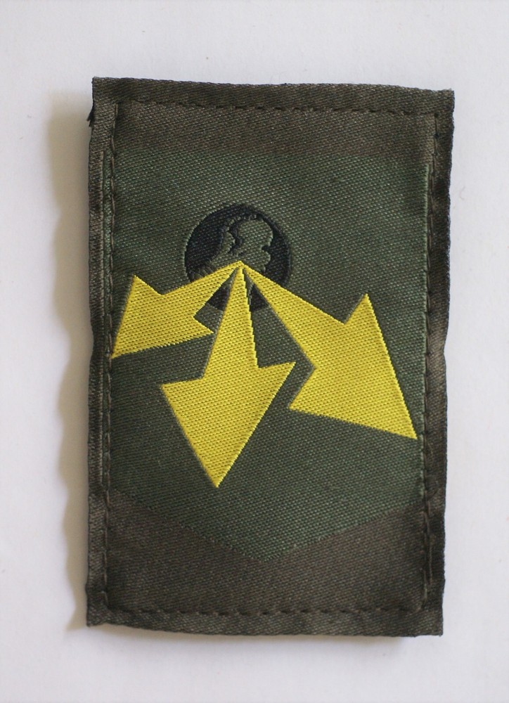 Netherlands Dutch Army Logistics Command unit patch, combat version