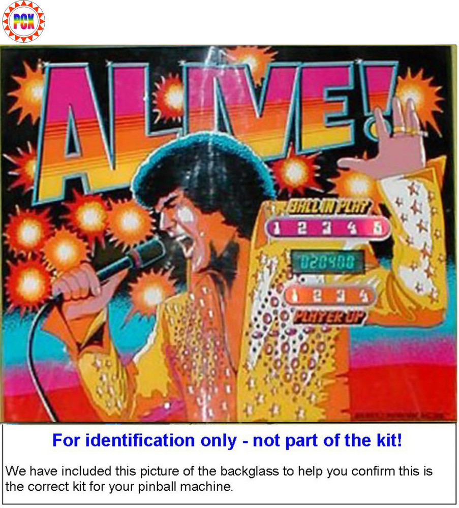 1978 Brunswick Alive Pinball Machine Rubber Ring Kit