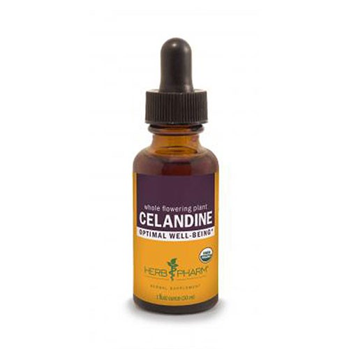 Celandine Extract 1 Oz by Herb Pharm