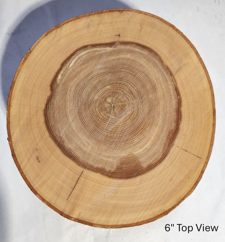 12" Wide 3" Thick Natural Beech Tree Wedding Cake Stand