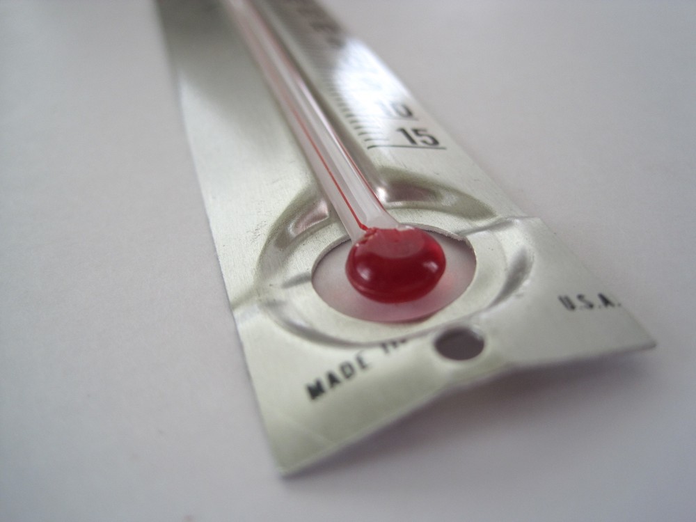XEROX Thermometer 6.5" Aluminum
