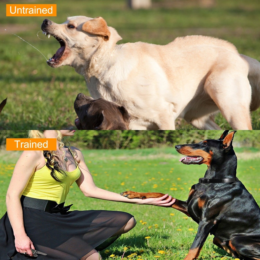 Dog Shock Training Collar Rechargeable Remote Control Waterproof 1640FT No Bark