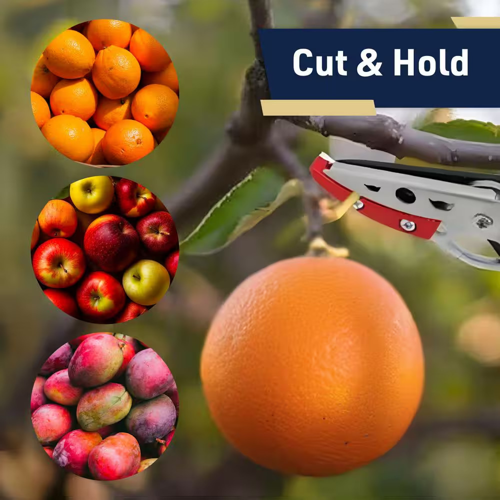 30-In. Tree Pruner Bypass Pruning Shears