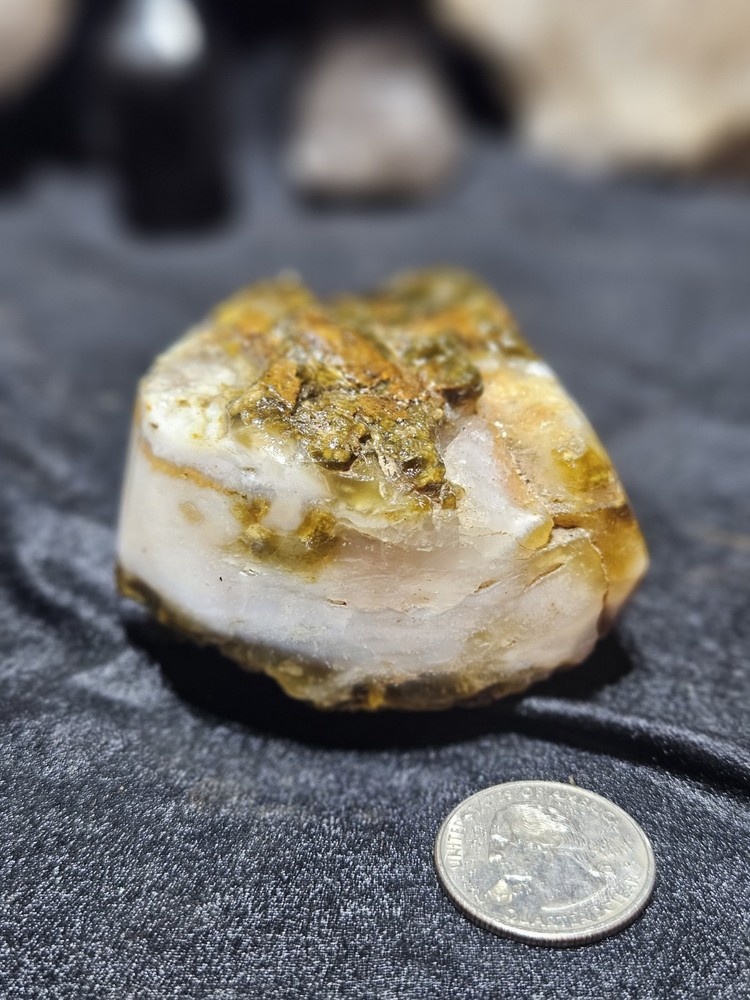 Petrified Wood Opalized Multicolored Polished Specimen (8.4oz)
