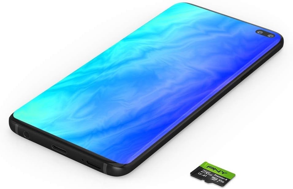 Premier-X 256GB microSDXC Flash Memory 2-Pack - 100MB/s Read, V30, Durable