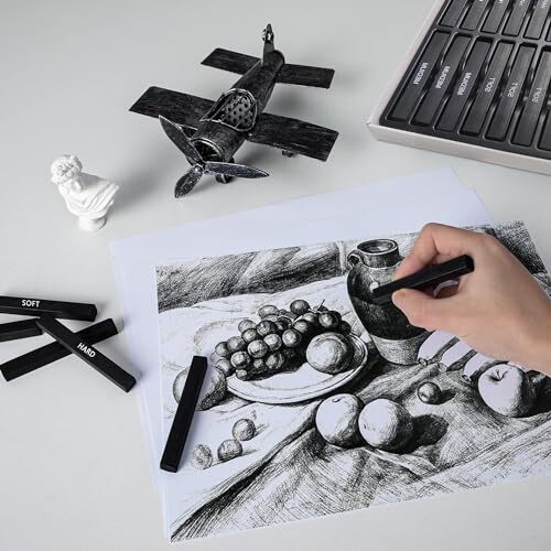 24 Pcs Compressed Charcoal Sticks with Soft Medium Hard and White Charcoal - ...