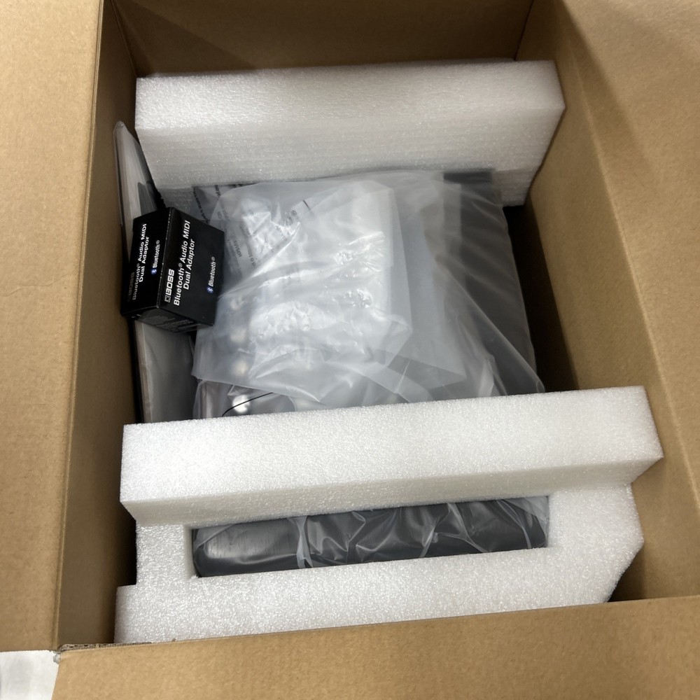 BOSS AC-22LX Acoustic Amplifier