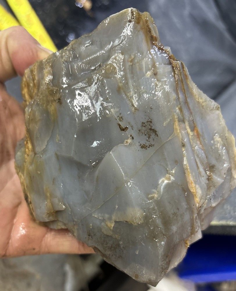 Silver Creek Junction petrified wood