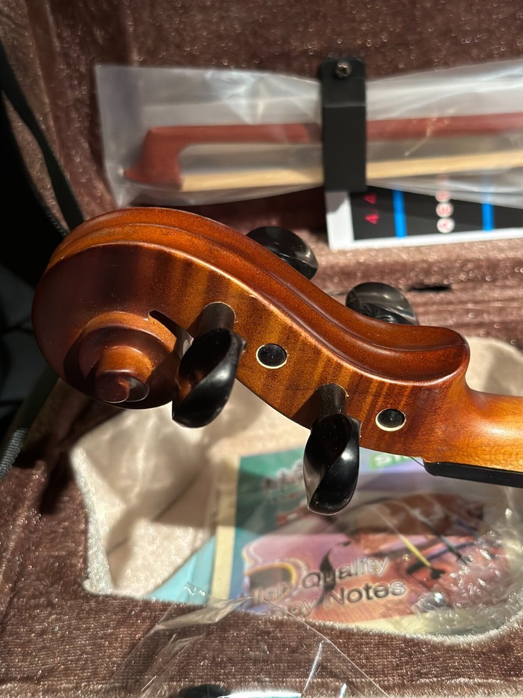 Brand New Unbranded 4/4 Violin