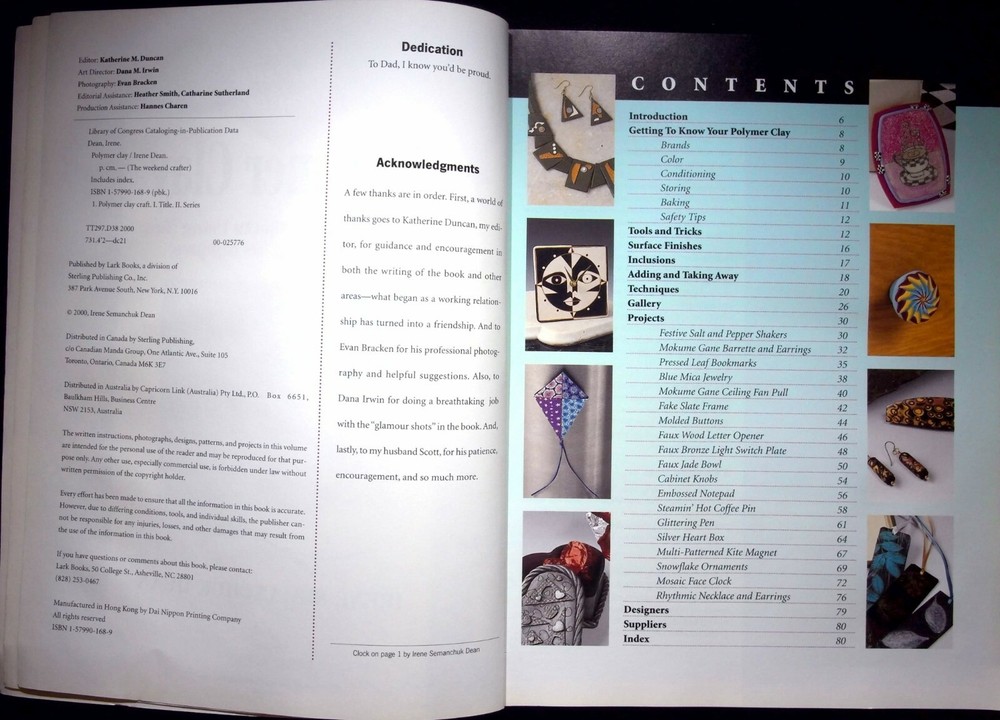 POLYMER CLAY : 20 WEEKEND PROJECTS USING NEW AND EXCITING TECHNIQUES IRENE