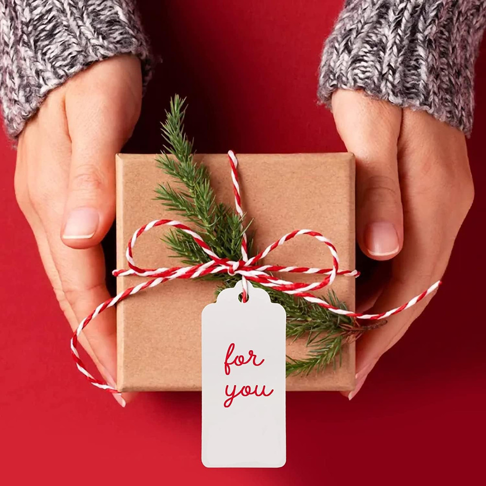White Gift Tags with String, 2'' X 4'' Paper Gift Tag, 100PCS Rectangle Blank Ta