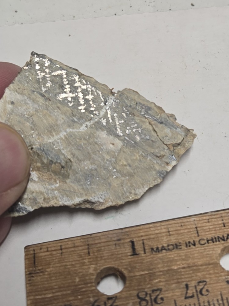 Beautiful Native Silver specimen
