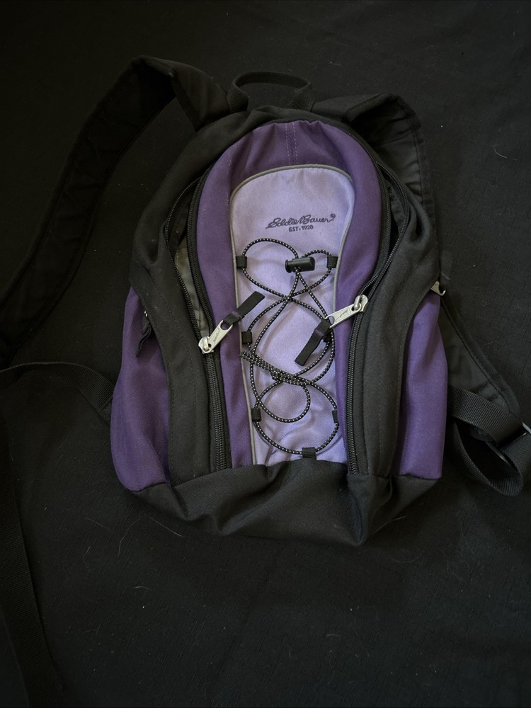 eddie bauer day pack