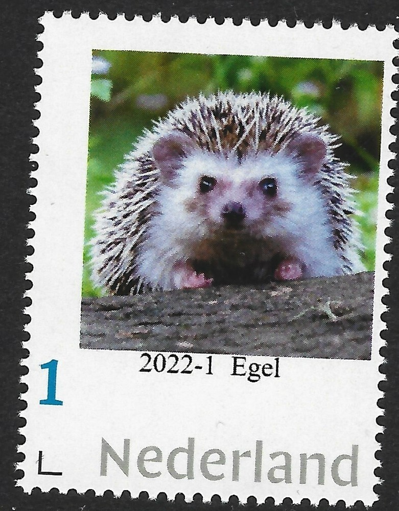 Netherlands 2022-1  Hedgehog   mnh/postfris u