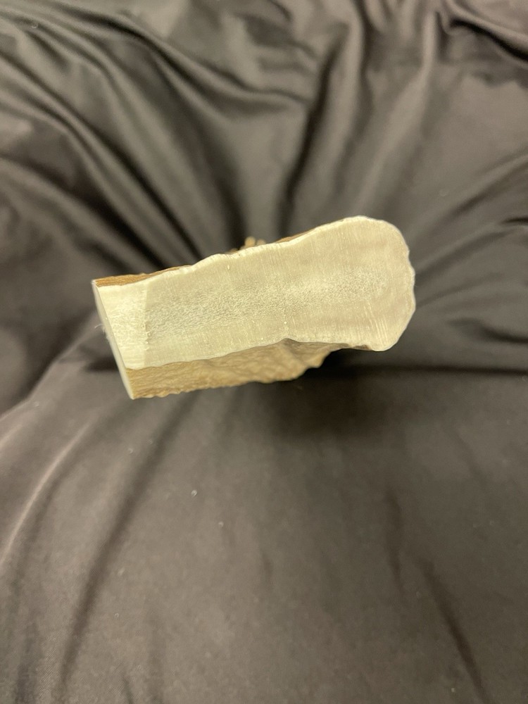 LARGE SHED MOOSE BEAM/BATON/BILLET