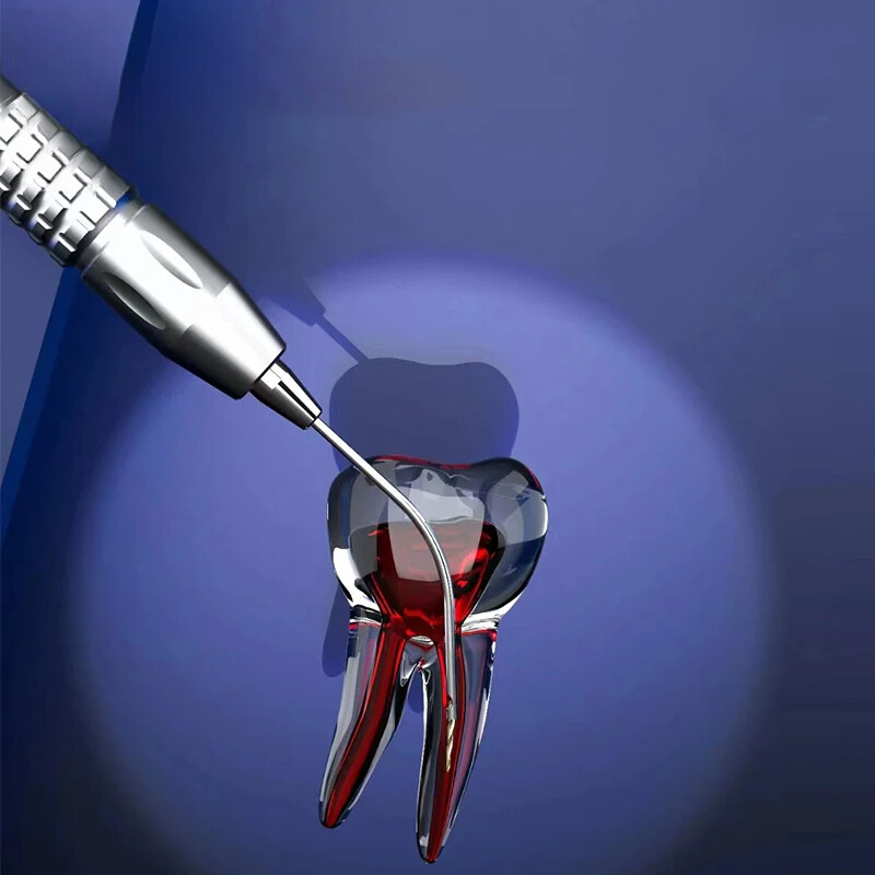 Dental Broken Root Canal File Extractor Endodontic Endo Files Removal System Kit
