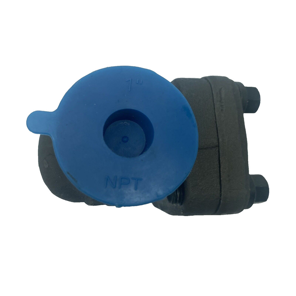 PCN800TE1 Socket Weld End & Threaded End Forged Steel Piston Check Valve 1"