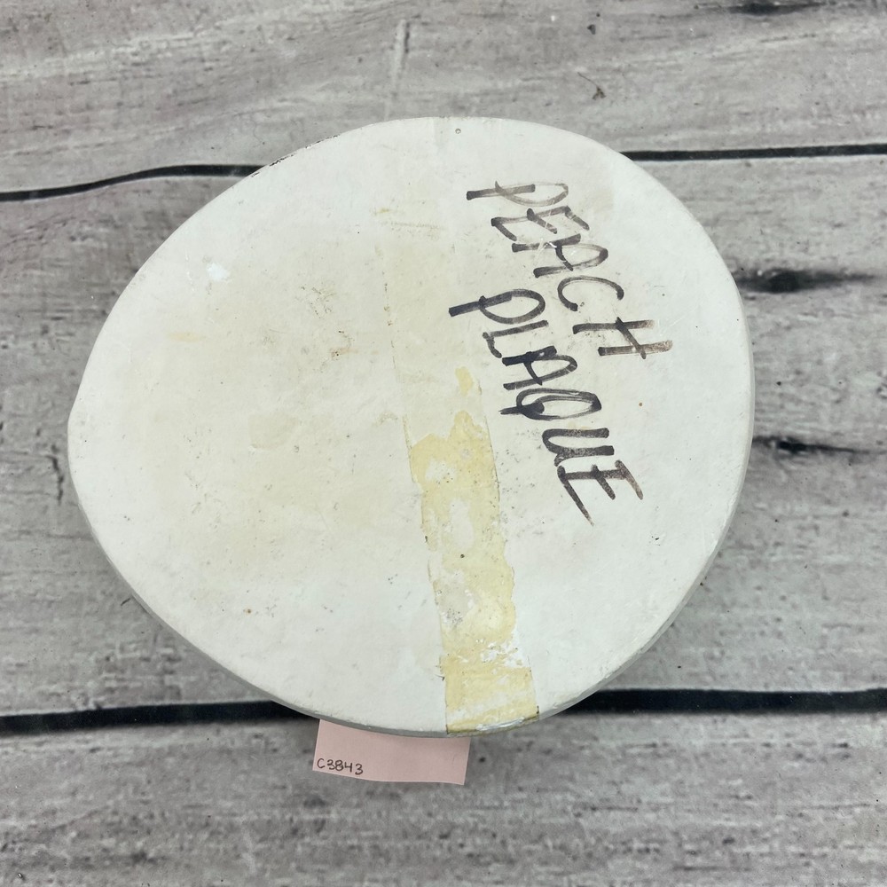 Ceramic Casting Mold Fruit Peach Plaque #R-524